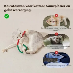 PurrPlay – Kauwspeeltjes voor katten |1+2 GRATIS