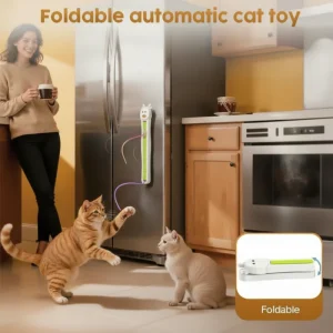 WhiskerWhirl — Eindeloos Katplezier