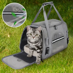 Draagbare uitje huisdier tas