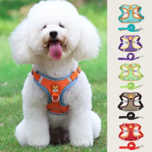 Reflecterende huisdierharnas en riemset