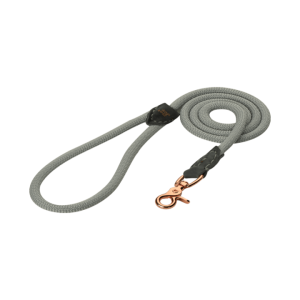 DoggyWalker Looplijn