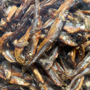 Gedroogde vistrainers – 100% natuurlijke hondensnack